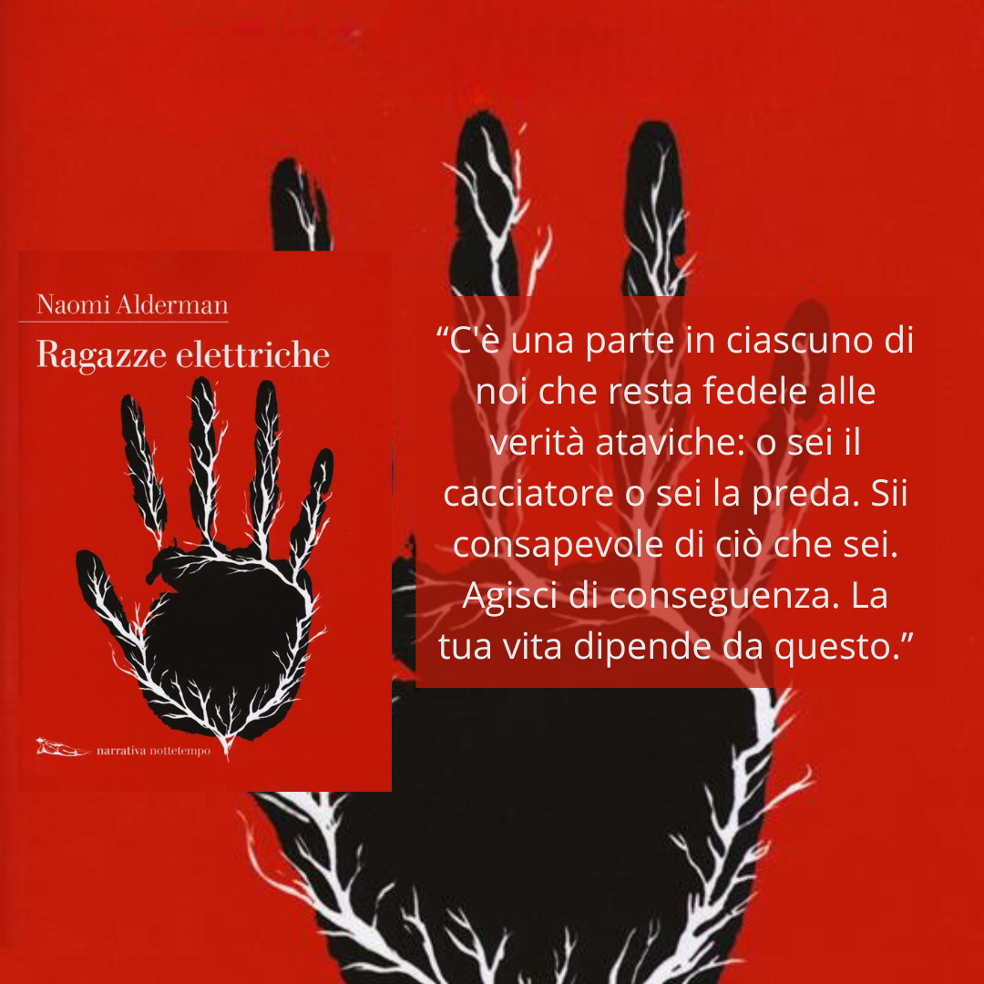 792780482615cc893cffe7c89fcfe0a45f533597.png 792780482615cc893cffe7c89fcfe0a45f533597.png
