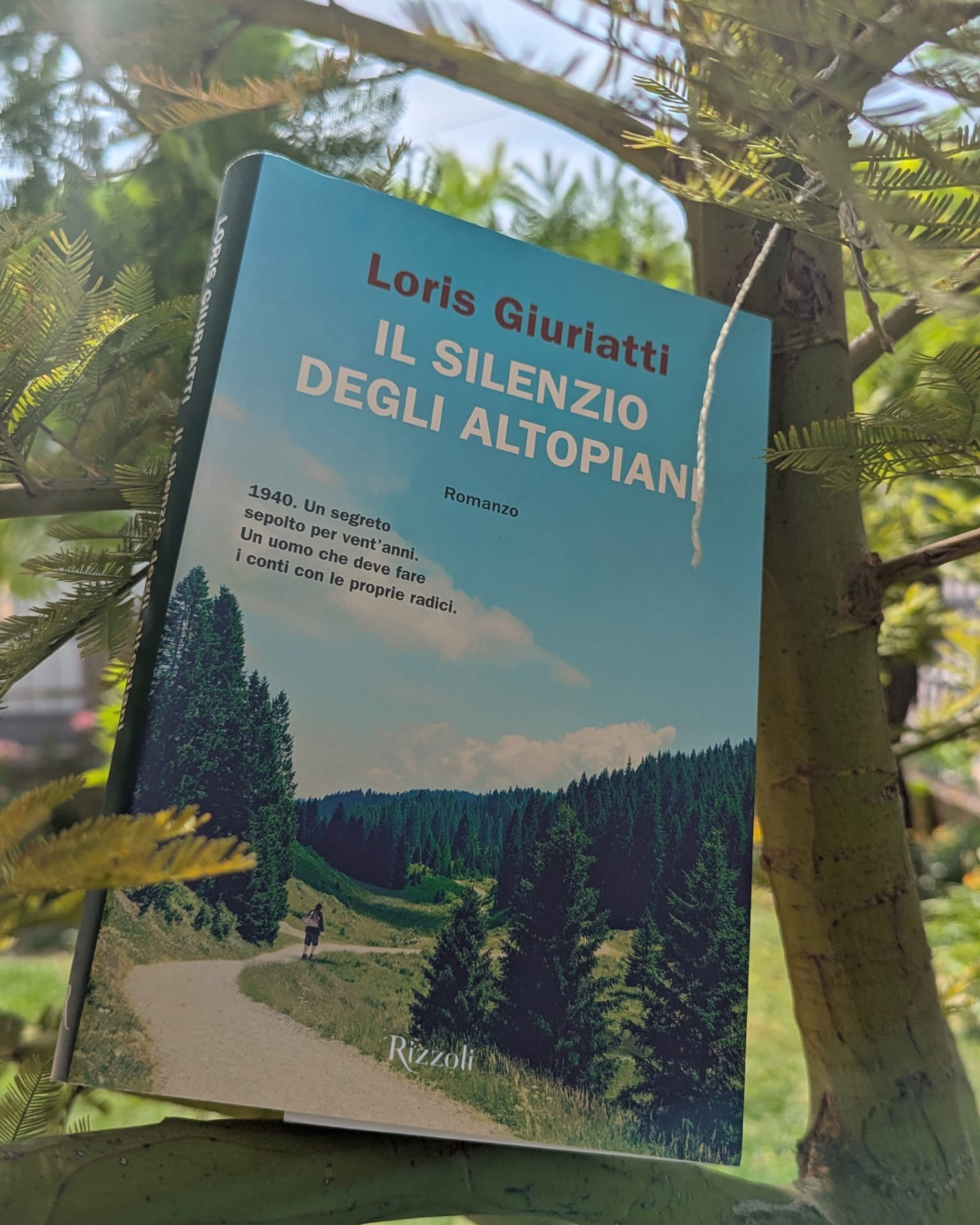 il-silenzio-degli-altopiani.png il-silenzio-degli-altopiani.png