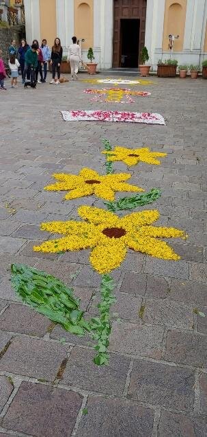 8c0f2434-93d7-492c-80ea-6d4528fb07a4 8c0f2434-93d7-492c-80ea-6d4528fb07a4