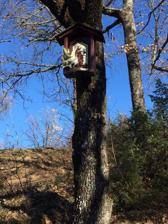 28d97d01-ad5f-48ab-b113-015f116a7457 28d97d01-ad5f-48ab-b113-015f116a7457