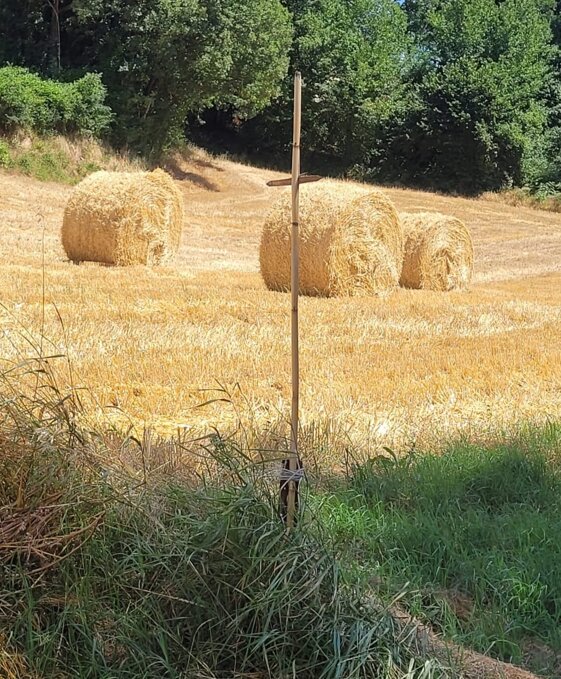 b56c33c8-9189-402b-a09c-d609245dcd55