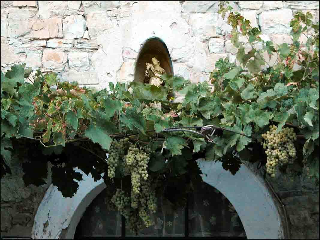 d6d899ba-e845-420c-820b-1093dd1287ed d6d899ba-e845-420c-820b-1093dd1287ed