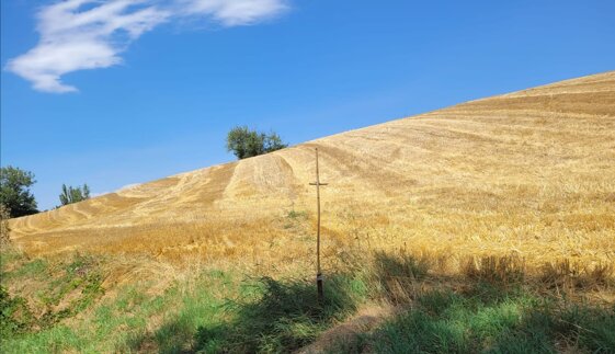 1488c796-32fd-4da8-bf77-bde1c155ce54