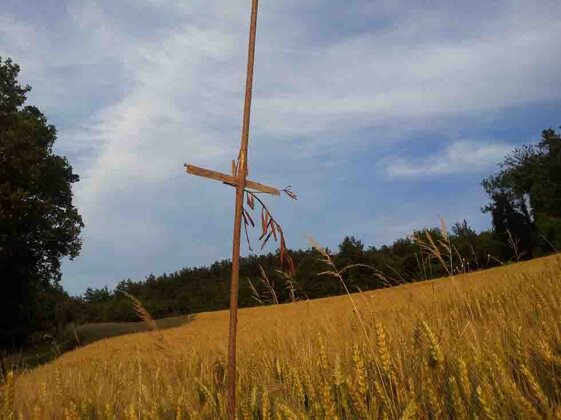 9cc57a8a-5460-47e2-9b17-1483edece804