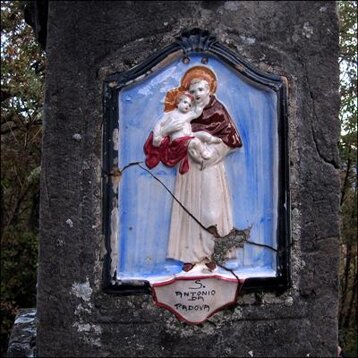 a515f551-80f7-46c8-8602-63f0b1d55dab