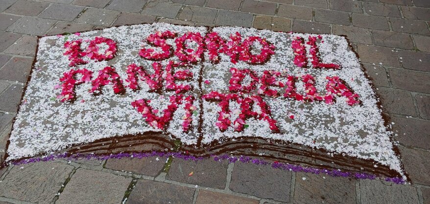 966141da-9da2-4be4-8b14-376b762bc8a4 966141da-9da2-4be4-8b14-376b762bc8a4