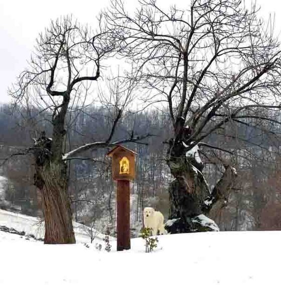 46ecc11c-22fe-4d91-9020-dfbfa2157815 46ecc11c-22fe-4d91-9020-dfbfa2157815