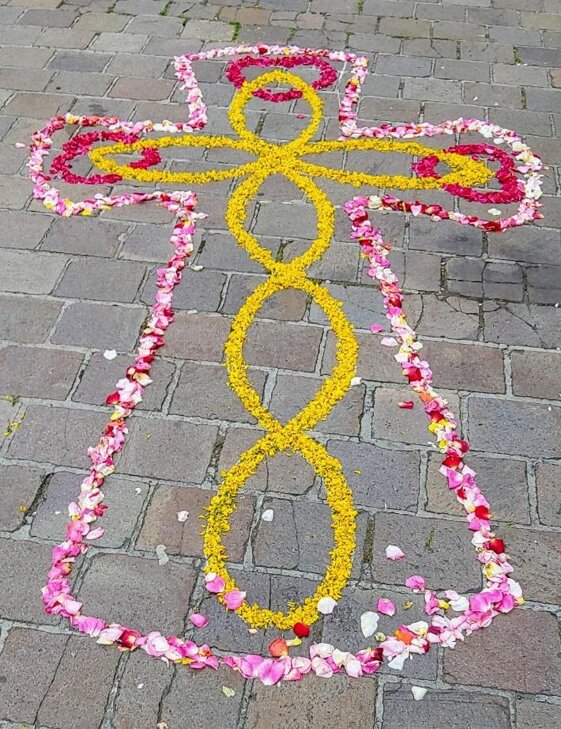 0810941d-a88f-47e7-aa64-ada978e9ae53 0810941d-a88f-47e7-aa64-ada978e9ae53