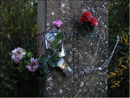 d41ff171-3a54-4ca3-856a-e96b305a979f d41ff171-3a54-4ca3-856a-e96b305a979f