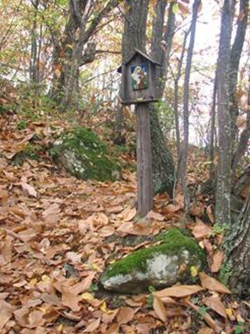 e5923496-a3a2-49e2-bae1-0e339f5e068c