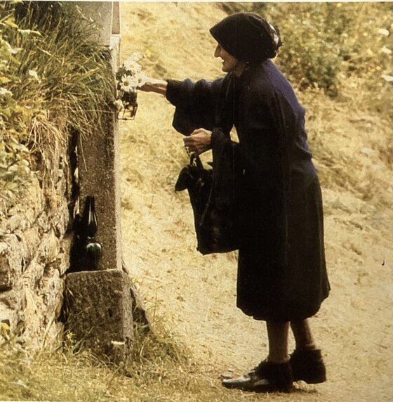 6f580254-b7f3-4761-b1a5-520d67f80b3c