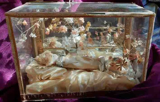 458eafd7-87eb-4eb9-84f7-35fed2ee0eb1 458eafd7-87eb-4eb9-84f7-35fed2ee0eb1