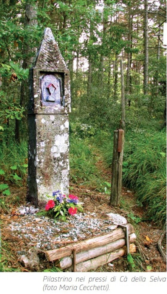 1e84e4a9-3824-448f-8585-eee520610f6a 1e84e4a9-3824-448f-8585-eee520610f6a