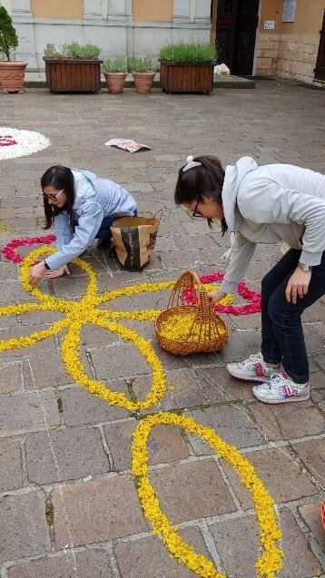 2dacfdae-b0f3-446a-ae5e-66a9c69e8440 2dacfdae-b0f3-446a-ae5e-66a9c69e8440