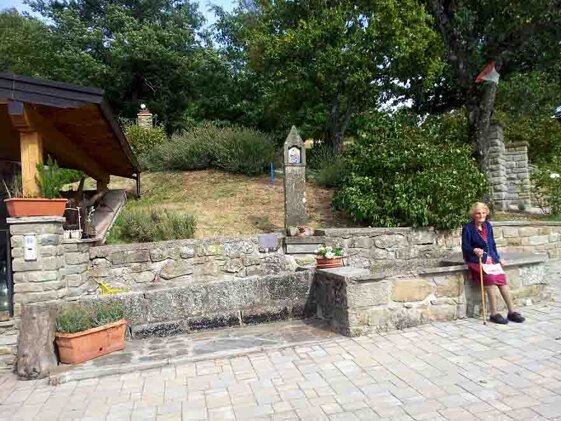 c536c605-71bd-48ec-9a43-5960e99755a9 c536c605-71bd-48ec-9a43-5960e99755a9