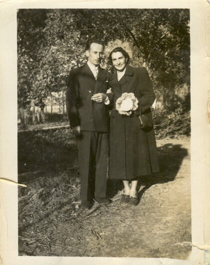 c93b31f2-de0f-4588-bd22-ae33aad45d67