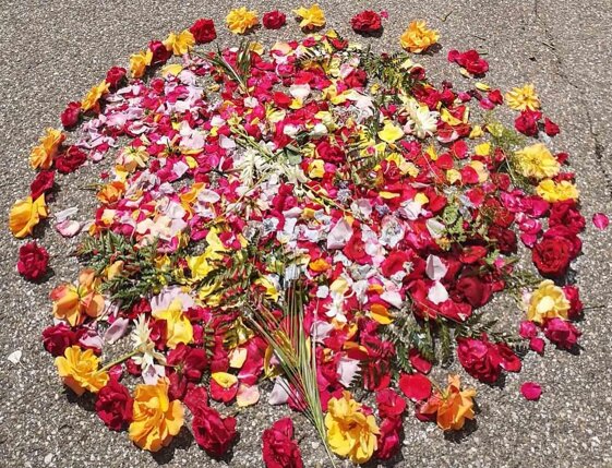 ed2cea68-56e2-49f2-b5cd-1b01a0db02b4 ed2cea68-56e2-49f2-b5cd-1b01a0db02b4