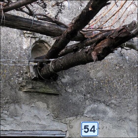 2e963709-a24f-40b0-b0cd-59a7e722fb64