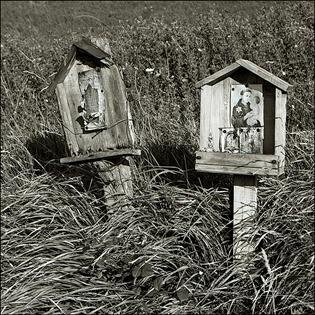 28fe6d24-65da-4dd1-ad09-0bba630d7a52