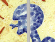 0aacfba99f22f108939f751e30772aa9bd24aa3c