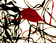 11a3f76352a2d9658081763a52f0017799689d88