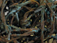 2d3193a8275ccf8d614d8ee255892c667e410d5d