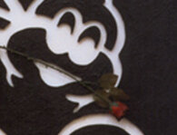 b120c2ed32568d5d4159642b68ddd2cf5afe0e44