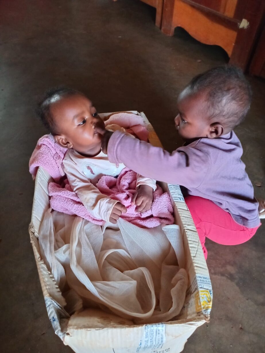 whatsapp image 2026-03-09 at 15.05.28.jpeg