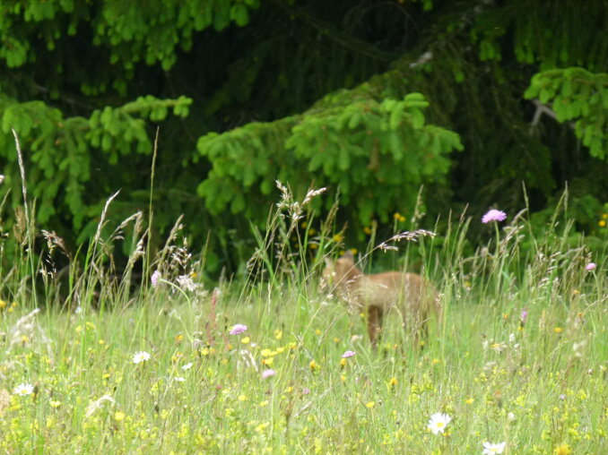 6d8a71137533dcedfbfb963a8cc86b7da8cc9fa6