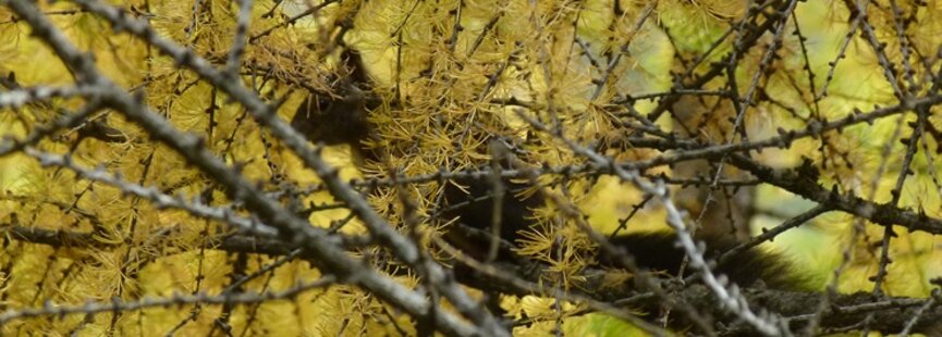 7e935b25196fb6863f817c9edbafcd6e5051eb21