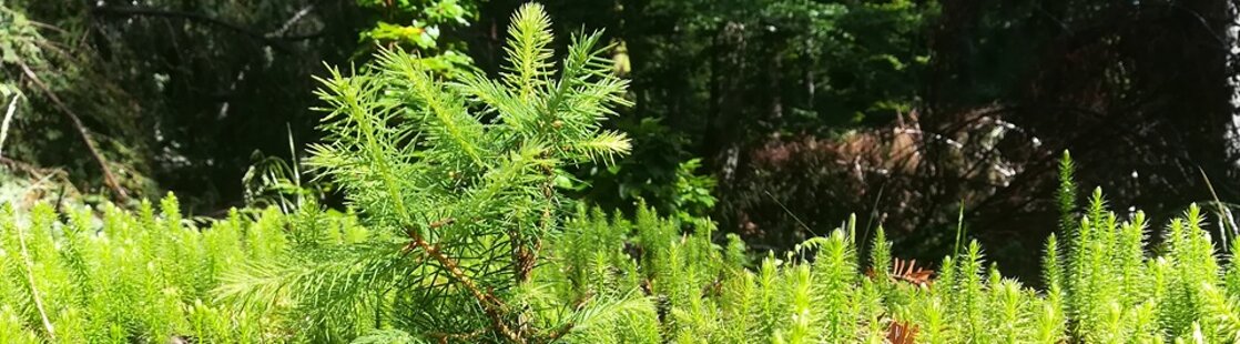 aaabb0fee2d3992ed6fc0f1fd2f6edccc9ac2e6a aaabb0fee2d3992ed6fc0f1fd2f6edccc9ac2e6a