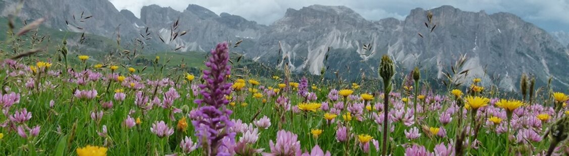 ea707841e529f188f9da6a480ccee4e6fffab9a0