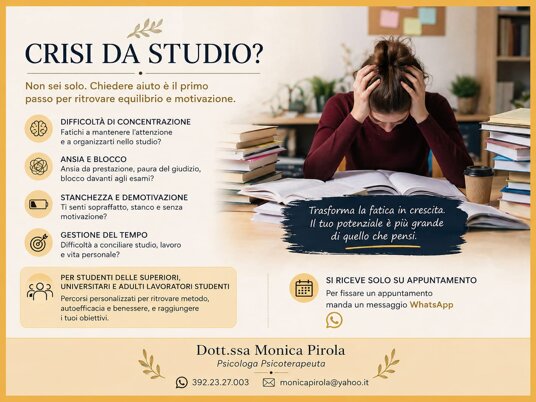 crisi da studio.jpeg