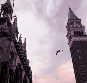 Freedom - Luigi Marano mixed technique on aluminum - cm 50 x 70