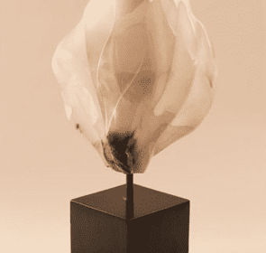 Deser flower - Juliet Urrutia alabaster - cm 60 x 33