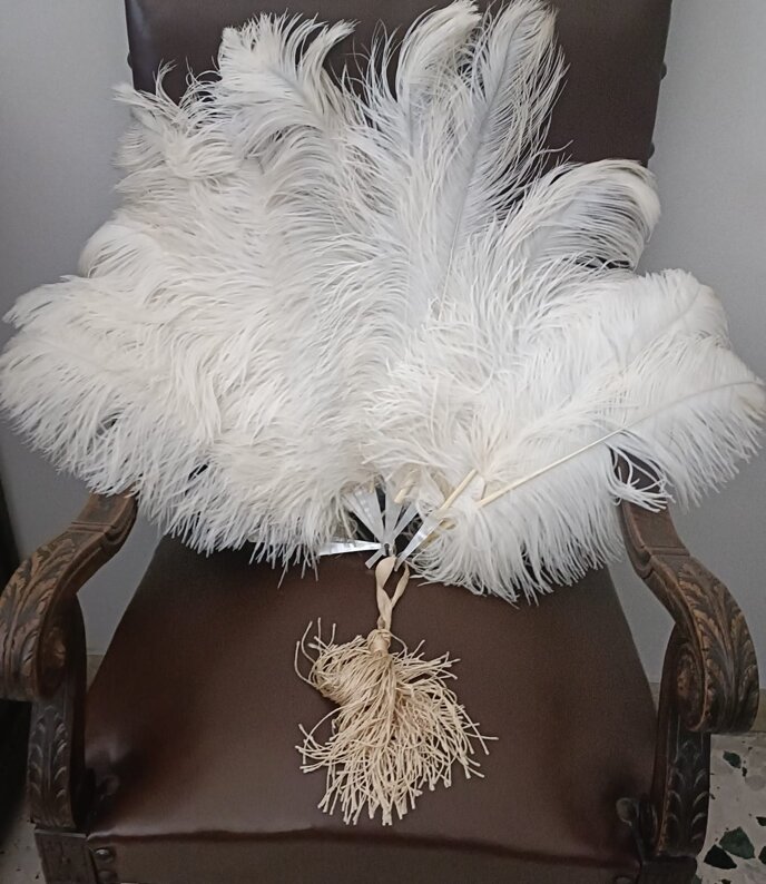 immagine whatsapp 2025-11-08 ore 21.00.51_0a009a8f.jpeg