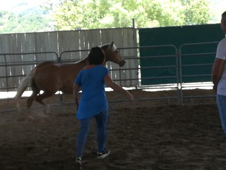 19023f63dd05a217a1a834b2f4645748ac4e0053