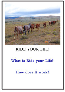 1e17a3277b1e45b86c1524ad209a8aa7714ecfb8 1e17a3277b1e45b86c1524ad209a8aa7714ecfb8