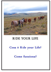 25e0a867d3e21315da2e094f8d9e887228f921c8