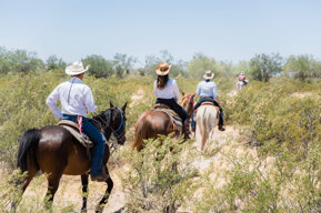 26d41e1c1fba9047525637df53be62aa649e2f71