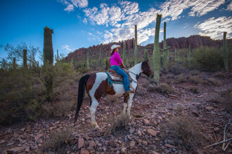 28ed7832bf2bd35d4efaaea6fb4c7481ae1447a1