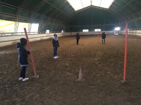 306504606ac82da3afea1917659dcf9fb00e7221