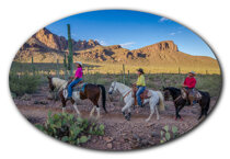 3b8c6151850b7adfd8003235484b6ef72133c6f2