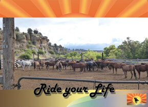 3ba6d8e01a7d1d9e7b9d7f0b7005c11452682dd6