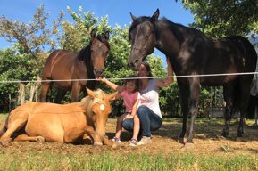 3f37d419a613d94f41c8773cc87309ca9e0e4da0