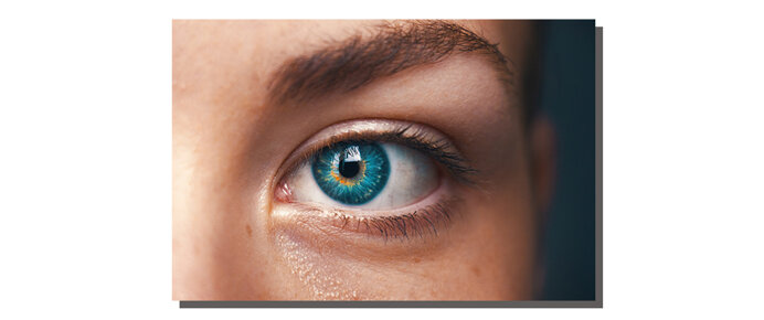 40b9599c3be88848b74c670cb683965c201dbc70