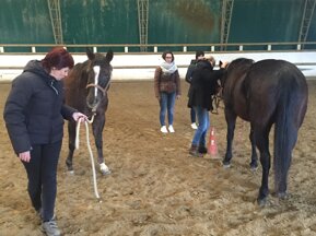 43c794c2db6956384f7e5fdd1566d06ed1feb907