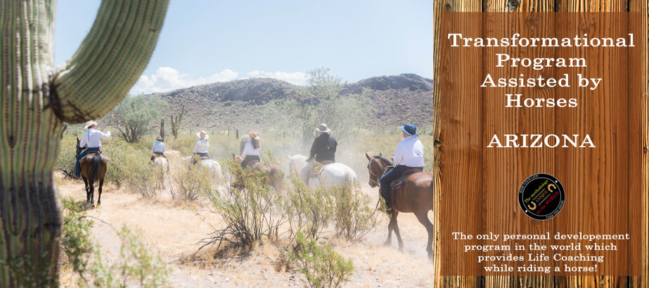 506d58a3c5f6b33876fb737cc951f3589d1a1f37