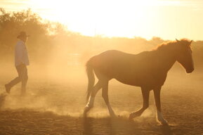 51dd9adc175b6eaf990339cd413076080c5ea668