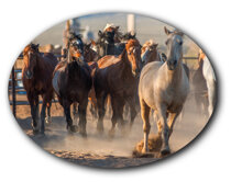 559e008b1f08abb5f1f25d86ea4b95b438c4d7f2